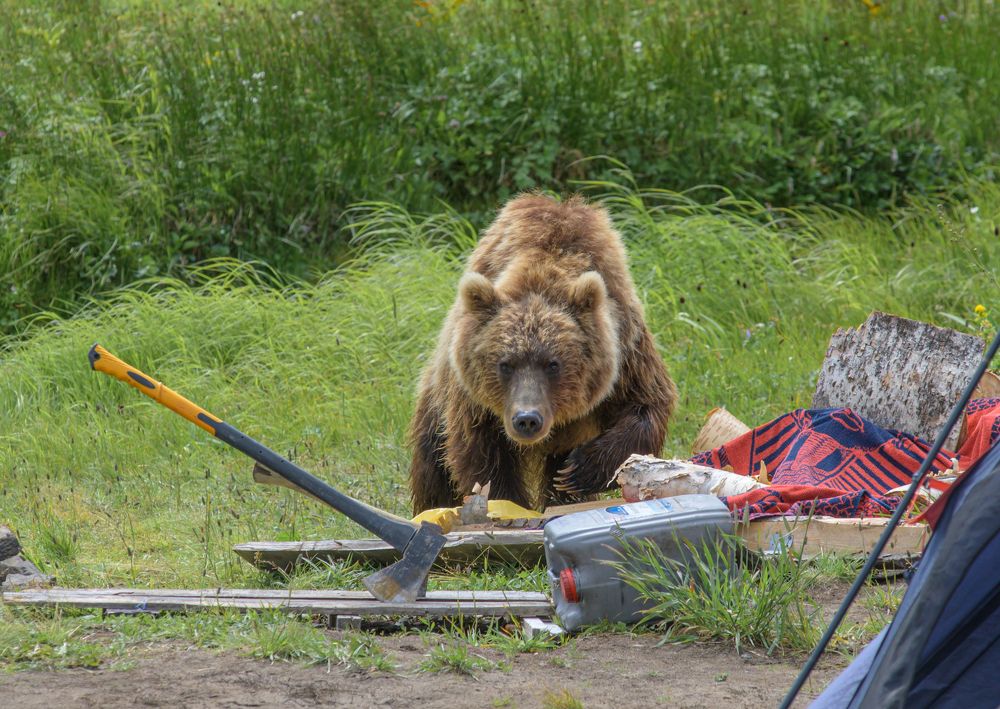 Photograph by Евгений Владимиров