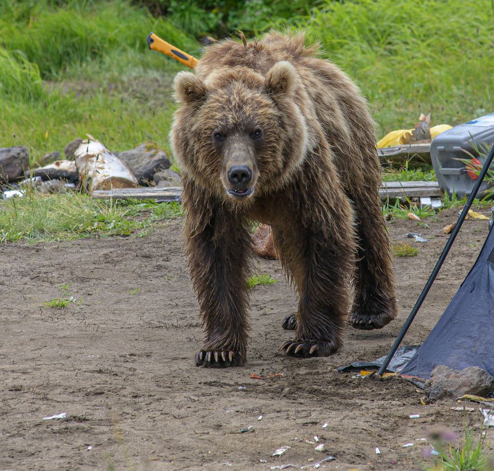 Photograph by Евгений Владимиров