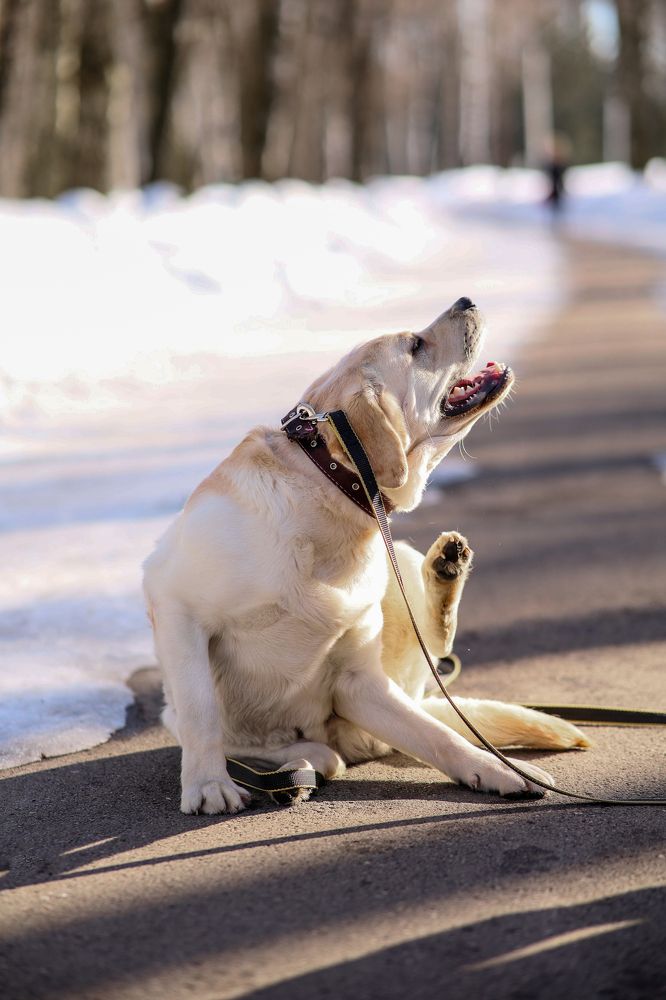 Фотография автора Ольга Кошина