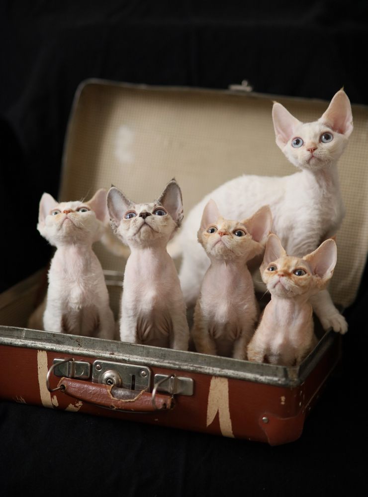 Photograph by Ольга Кошина