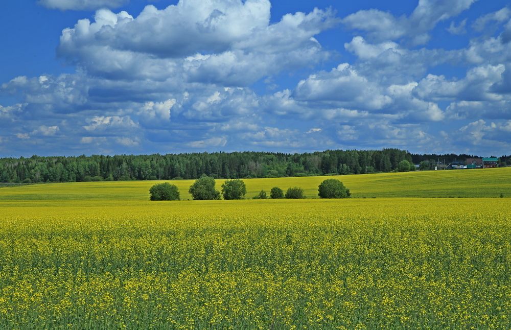 Фотография автора Юрий Кетель