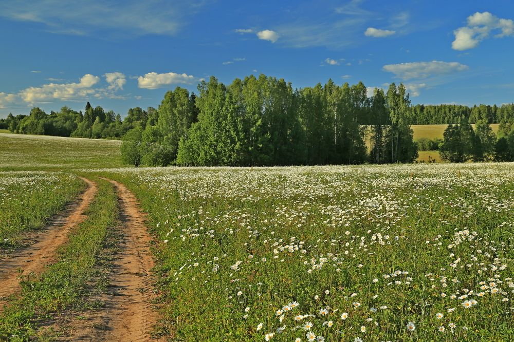 Фотография автора Юрий Кетель