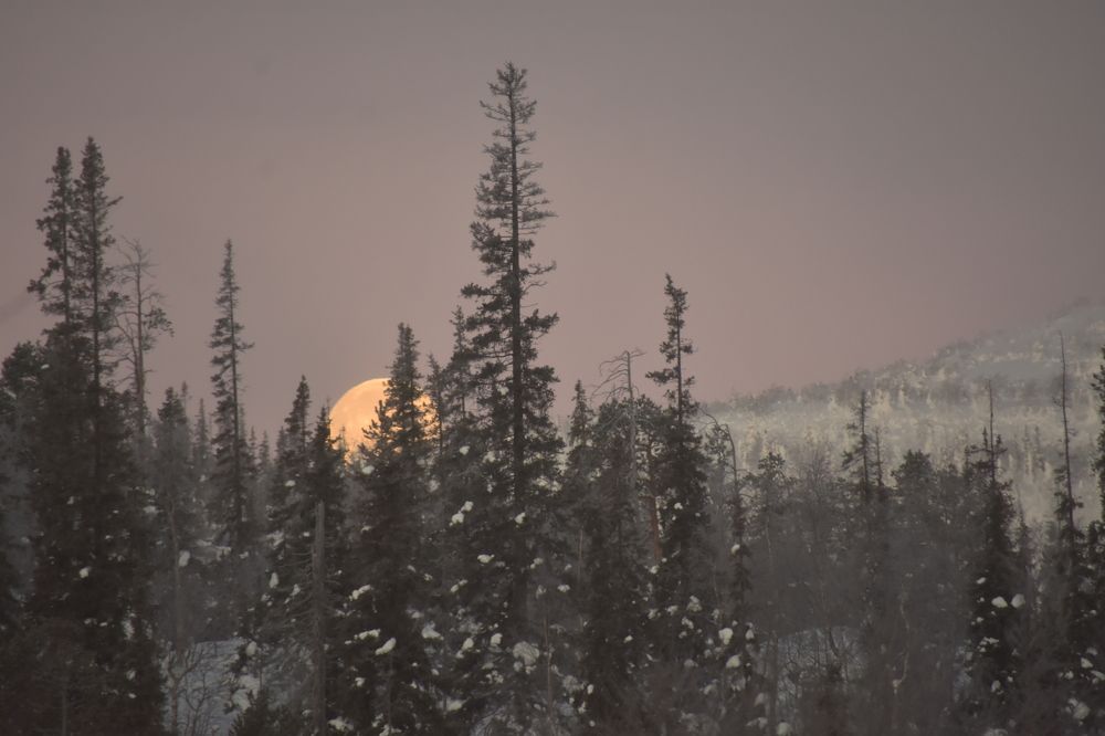 Photograph by Ирина Алексеевна Дудаль-Вологодская