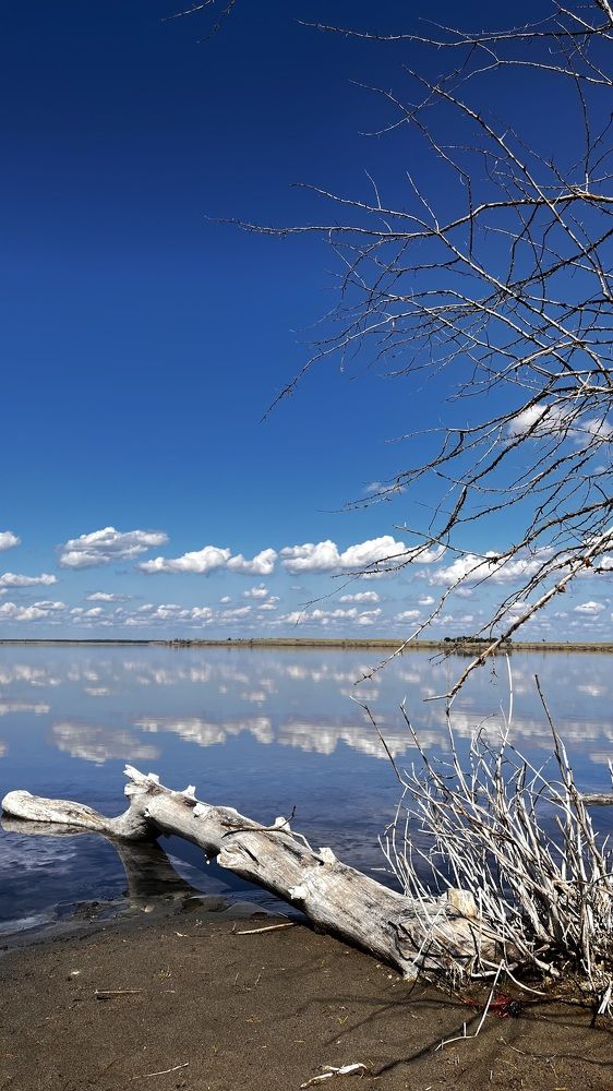 Photograph by Ольга Белоусова