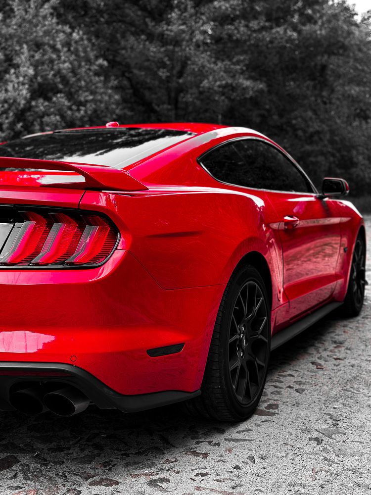 Фотография автора Екатерина Тельпук