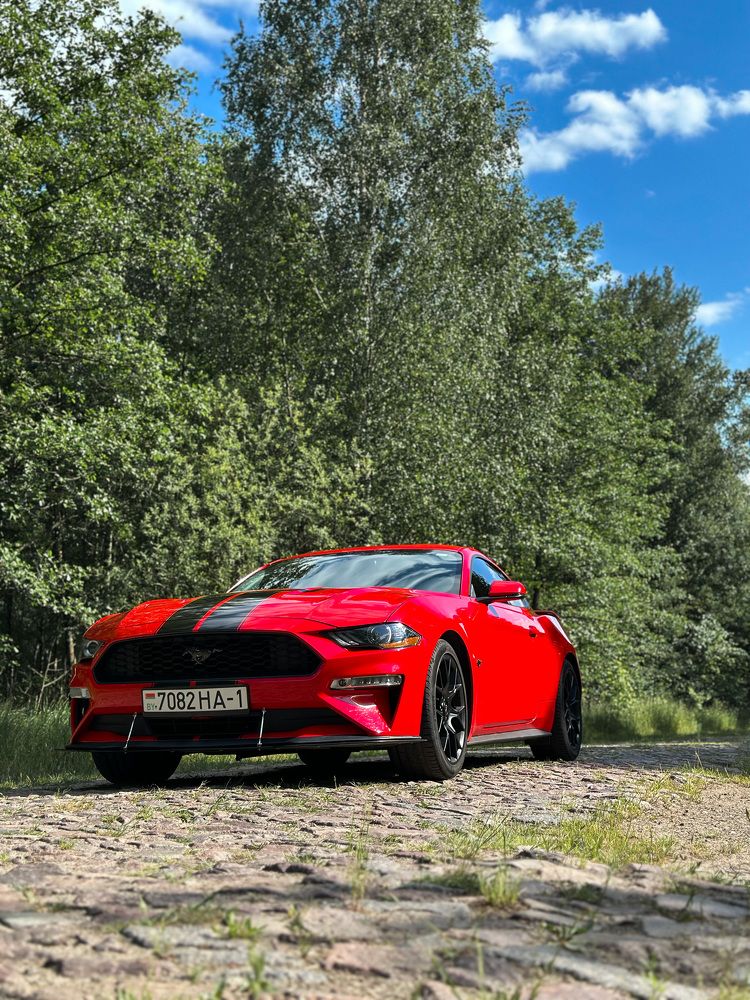 Фотография автора Екатерина Тельпук