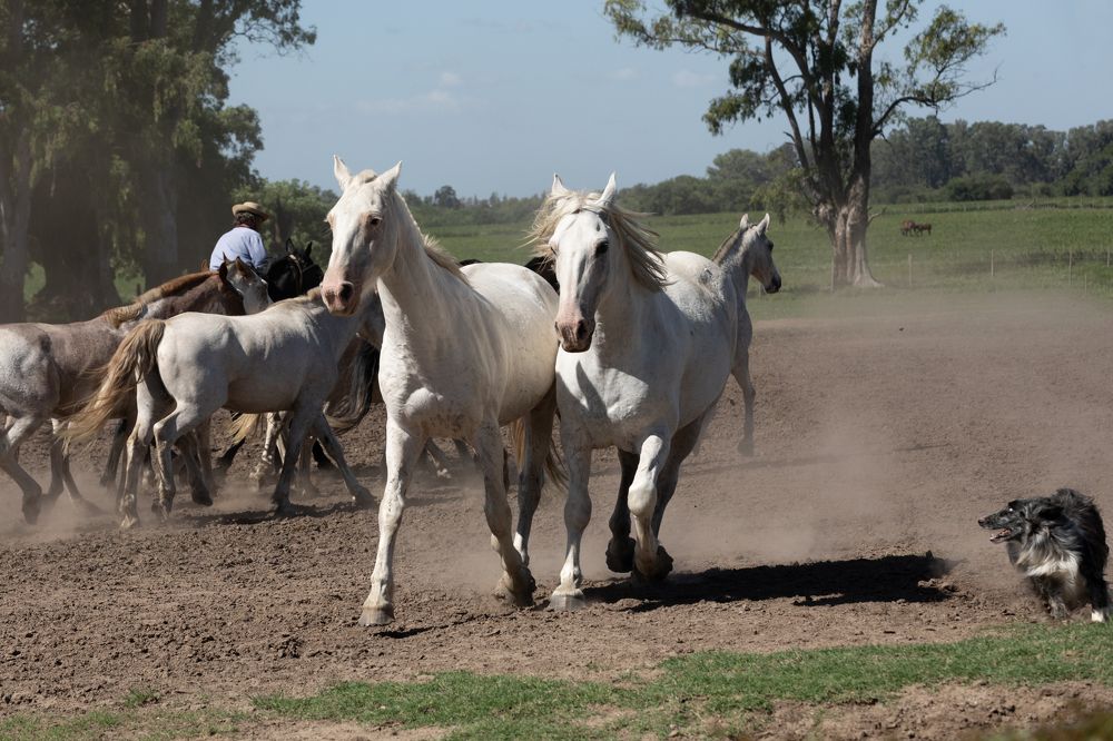 Photograph by klara Neikov