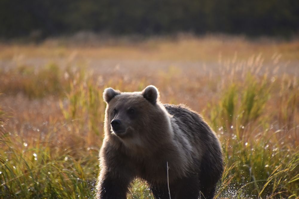 Photograph by Соколова Елена