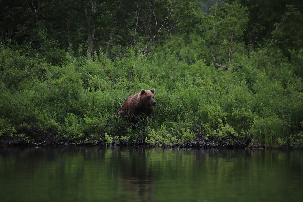 Photograph by Соколова Елена