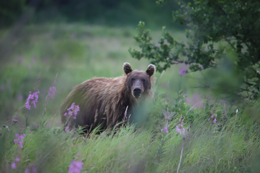 Photograph by Соколова Елена