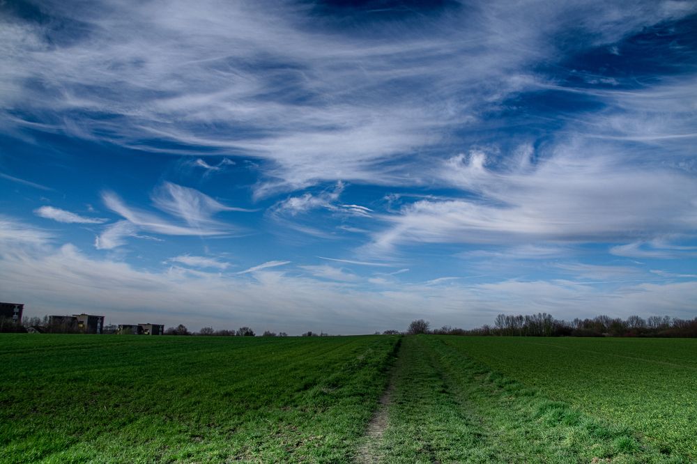 Фотография автора Vitalii Kaznin