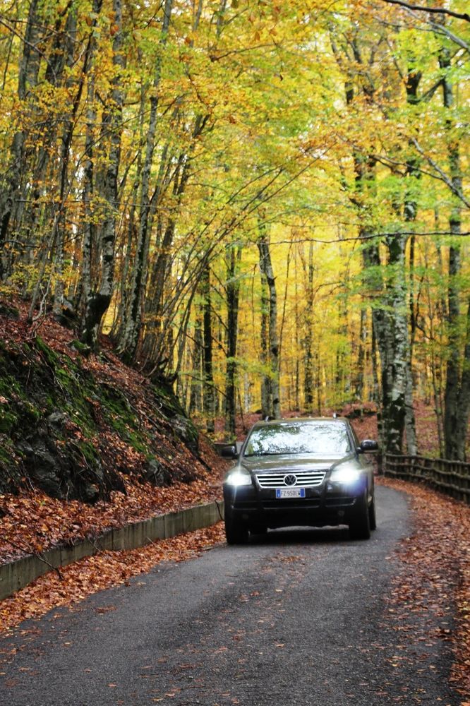 Photograph by Nadzeya