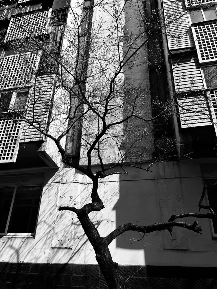 Photograph by Екатерина Варнавская