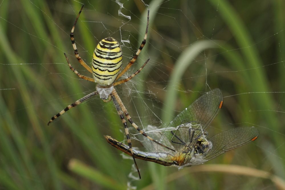 Photograph by Аlessandro