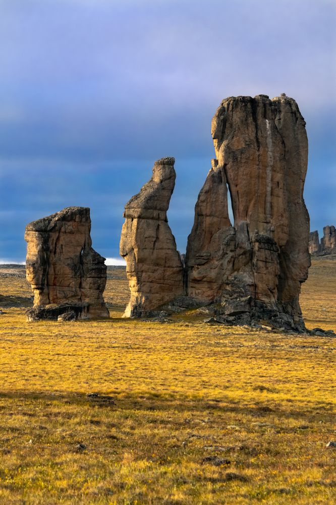 Photograph by Светлана Кожевникова