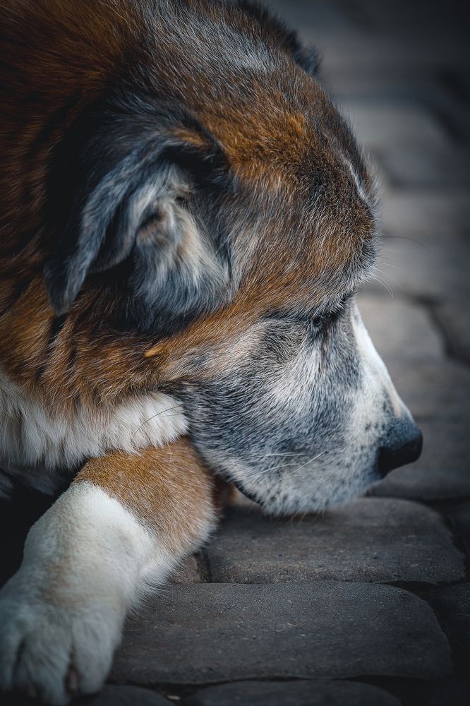 Photograph by Dmitry