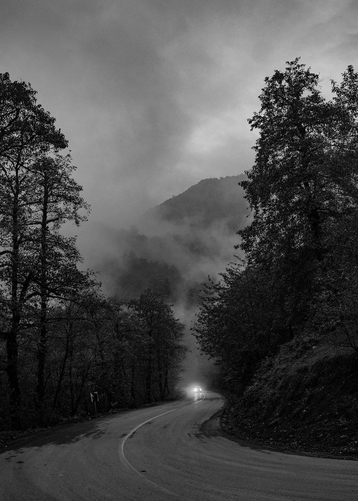 Photograph by farzaneh razmgir