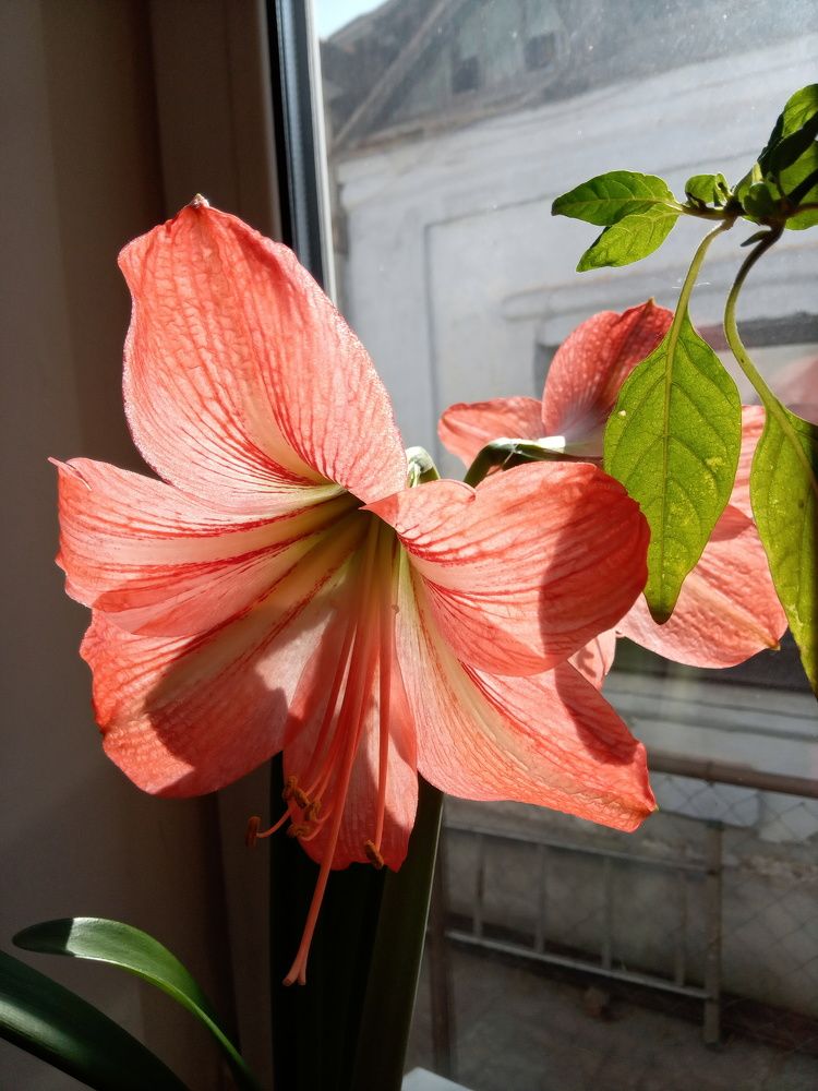 Photograph by Татьяна Пальчикова