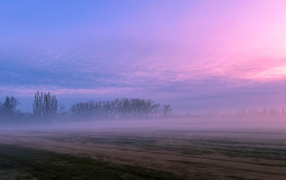 Фотография автора Nomin Jerabek