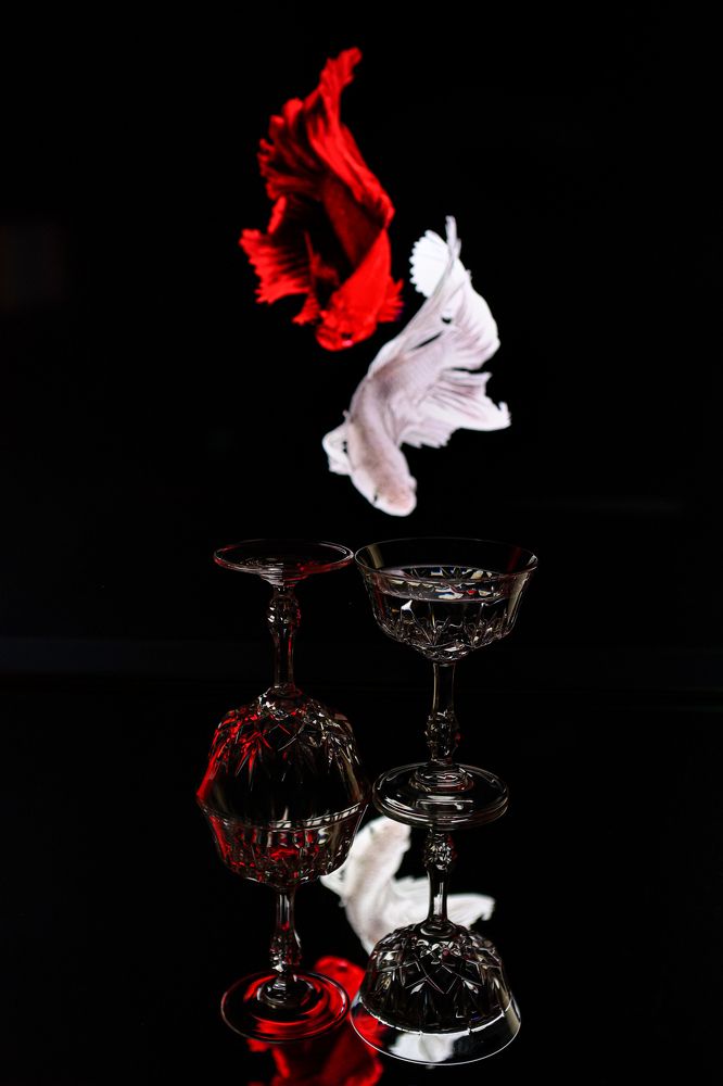 Фотография автора Natalya Boytsova