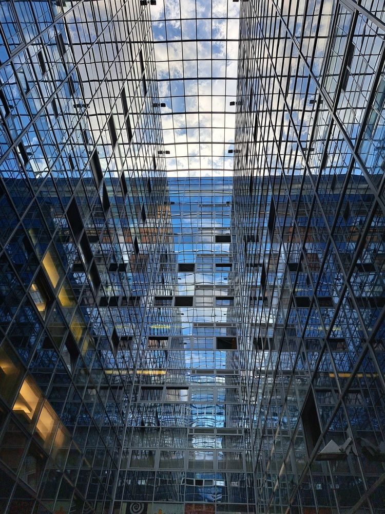 Фотография автора Djurdja Petrisic