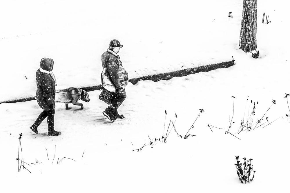 Photograph by Марина Канавченко