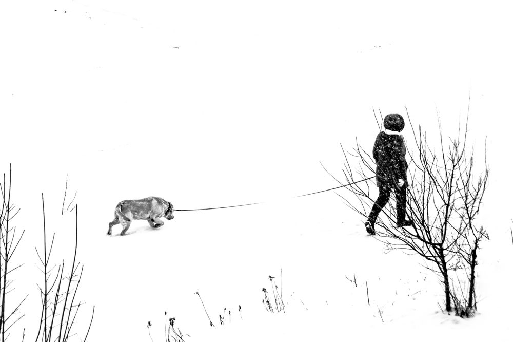 Photograph by Марина Канавченко