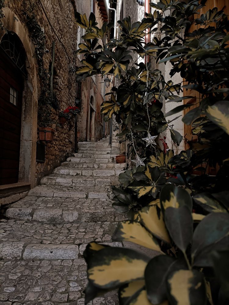 Photograph by Iryna Shyshkina