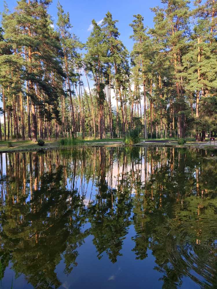 Photograph by Юлия Павленко