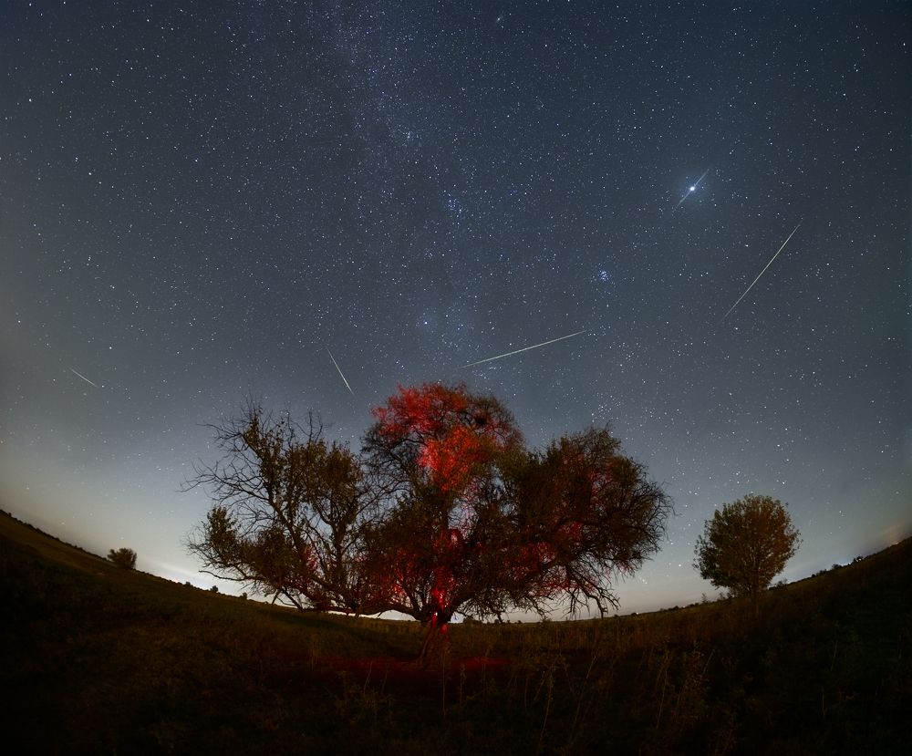 Photograph by Вадим Ашмаров