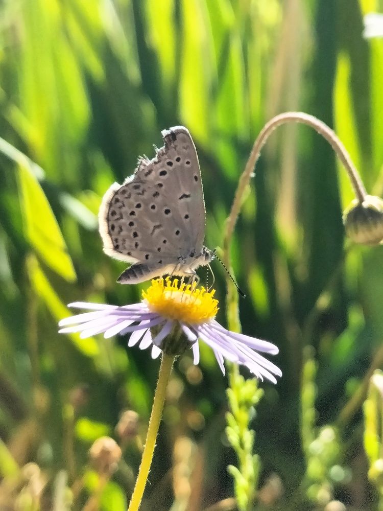 Фотография автора Bernadette Pretorius