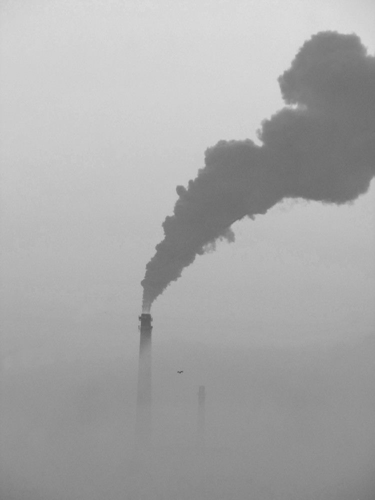 Photograph by Анастасия Пухова