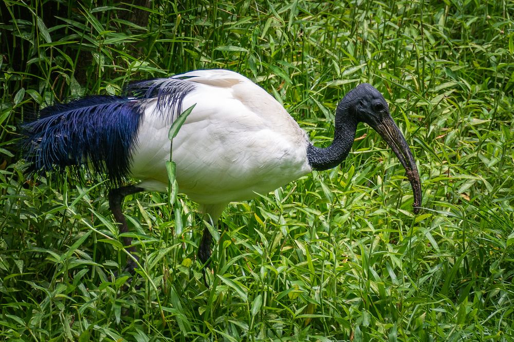 Photograph by Наталья Кокорина