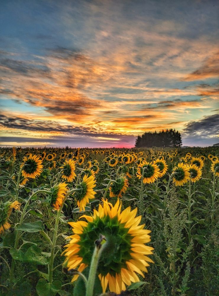 Photograph by Владимир Шаруба