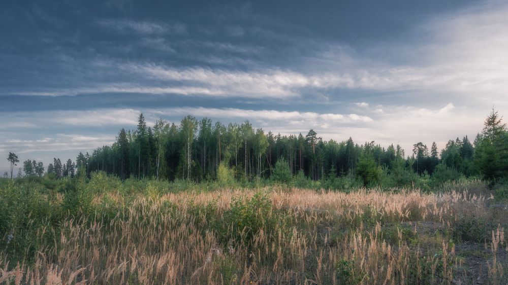 Photograph by Victor Stepanov