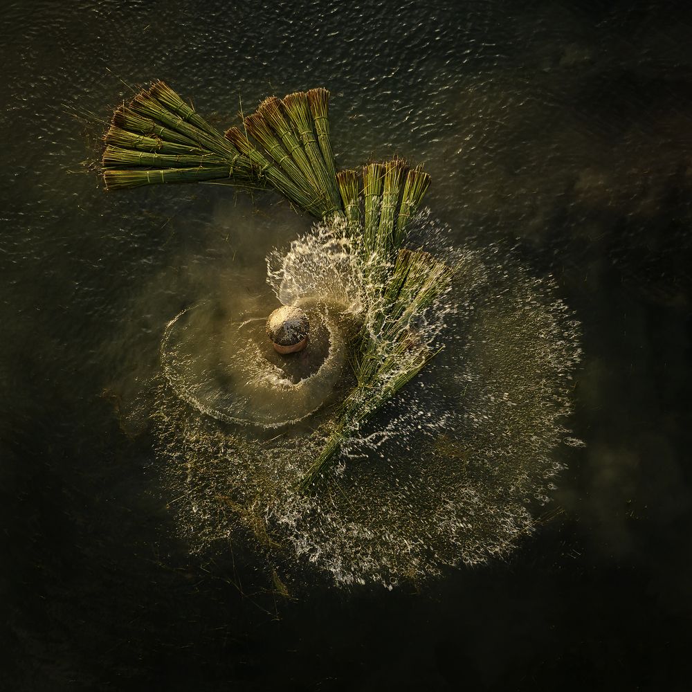 Photograph by Tam Phan Minh Minh