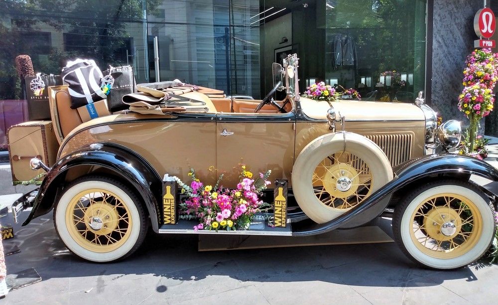 Photograph by José Luis Mendoza Machado