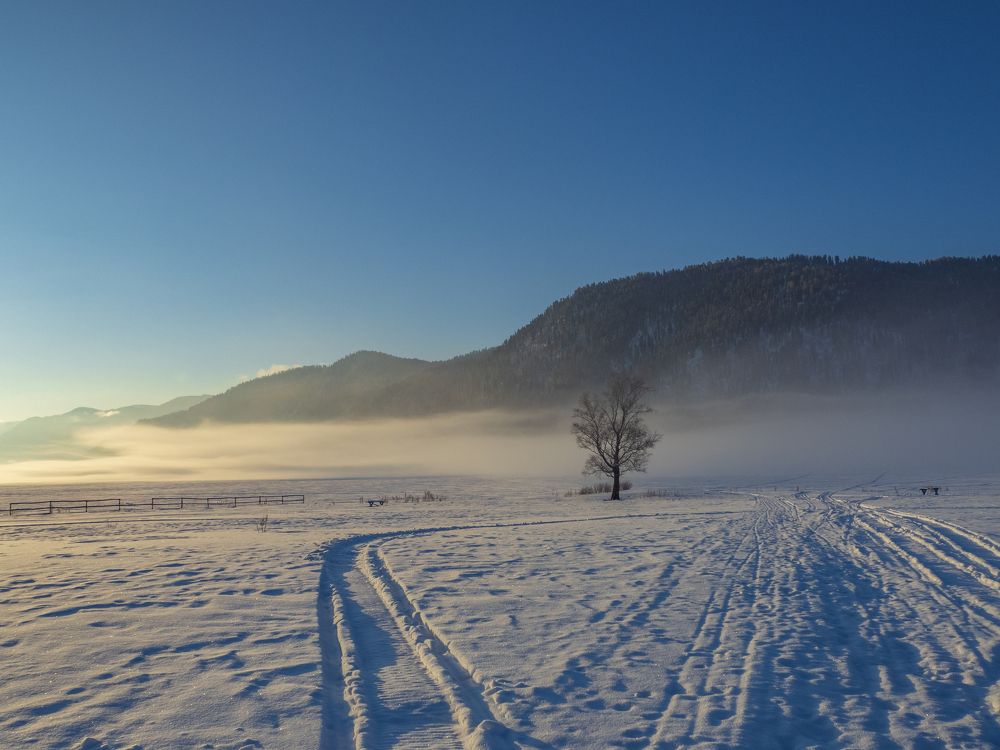 Photograph by Надежда Михайлина