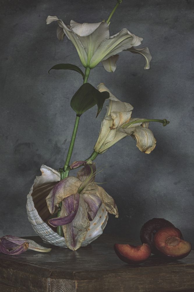 Photograph by Нина Сучкова