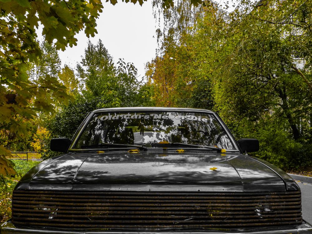 Photograph by Pavel Statsenko