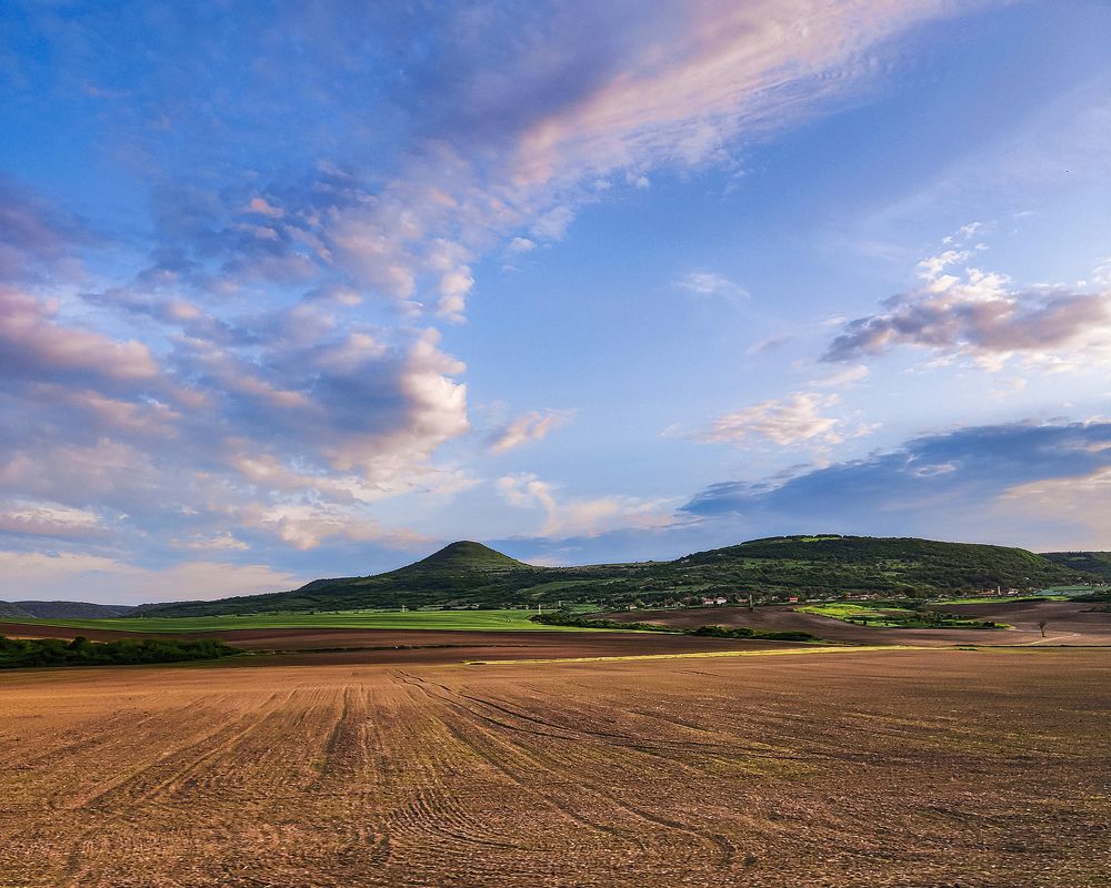 Bulgarian fields