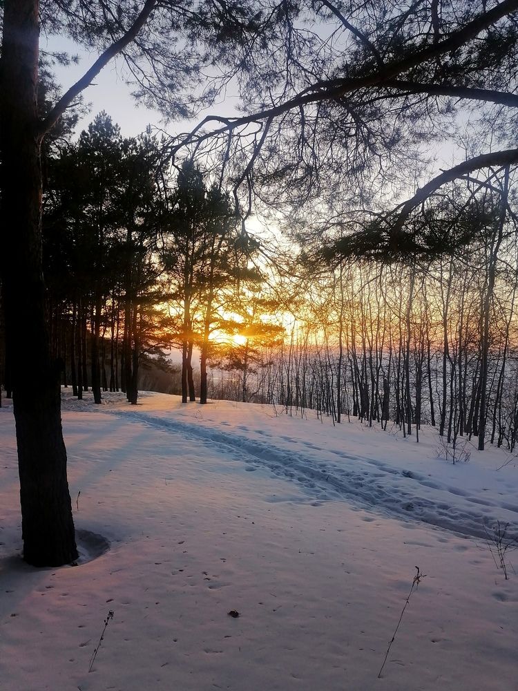 Бликует солнце на снегу