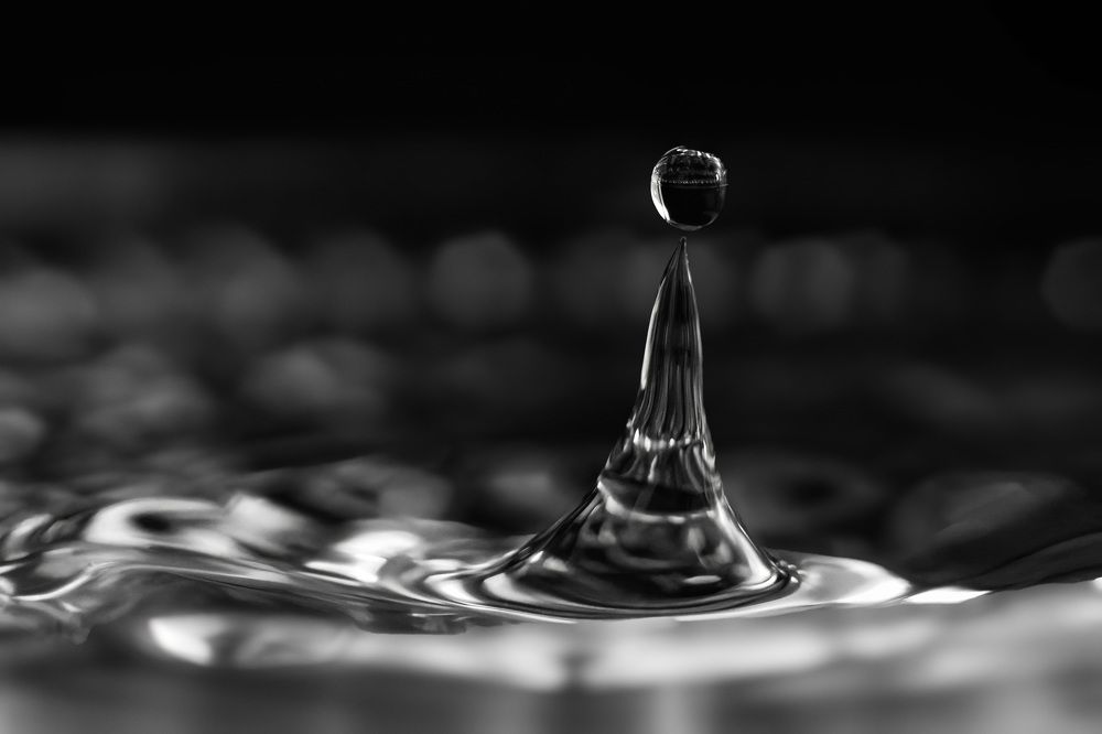 Фотография автора Вадим Поспелов