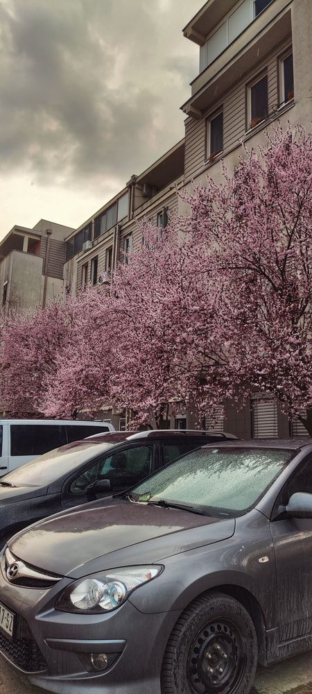 Photograph by Ольга Попова