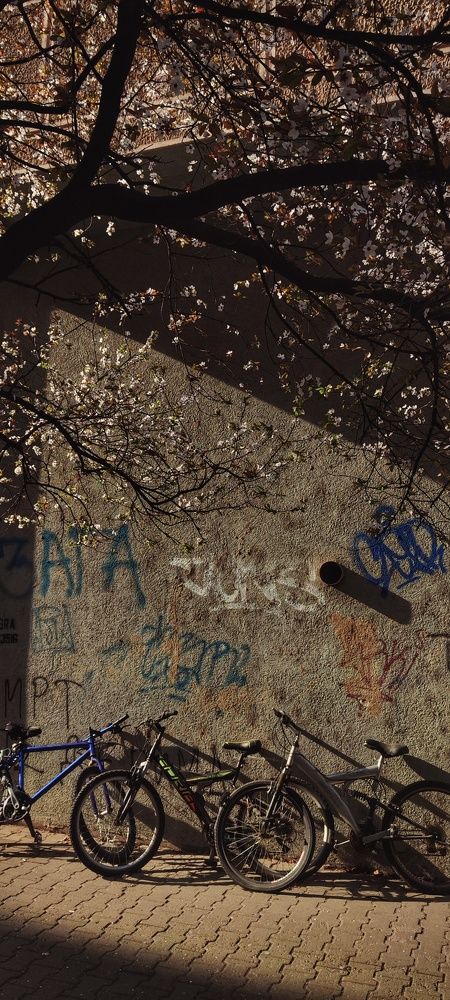 Photograph by Ольга Попова