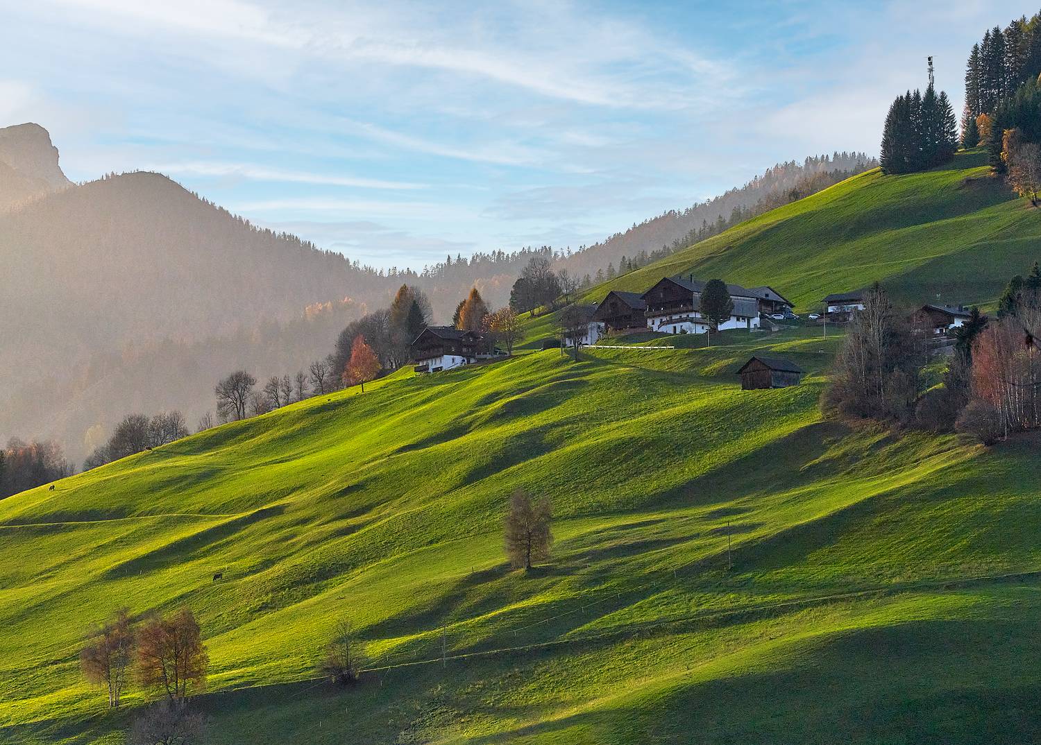 Фотография #10481381