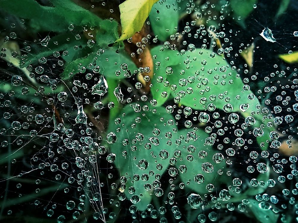 Photograph by Яна