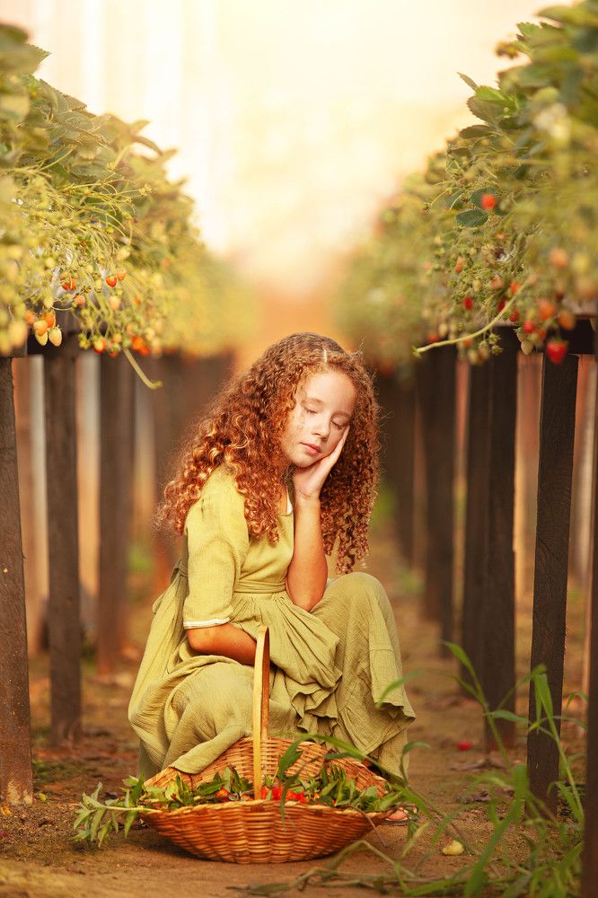 Photograph by Gisele A Santana