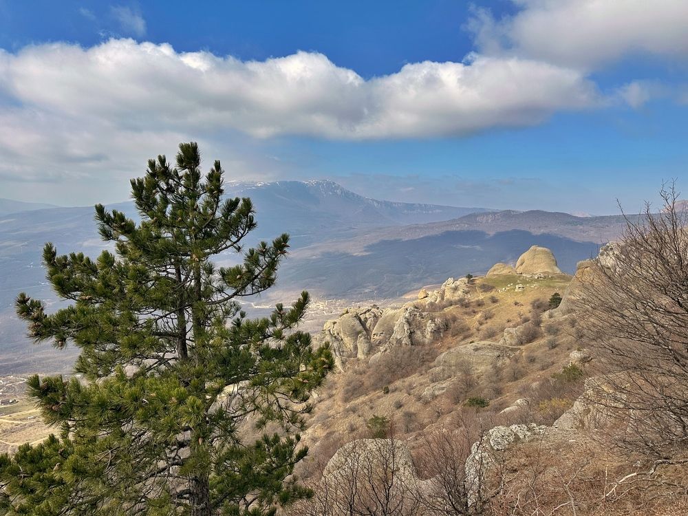 Photograph by Алексей Поляков