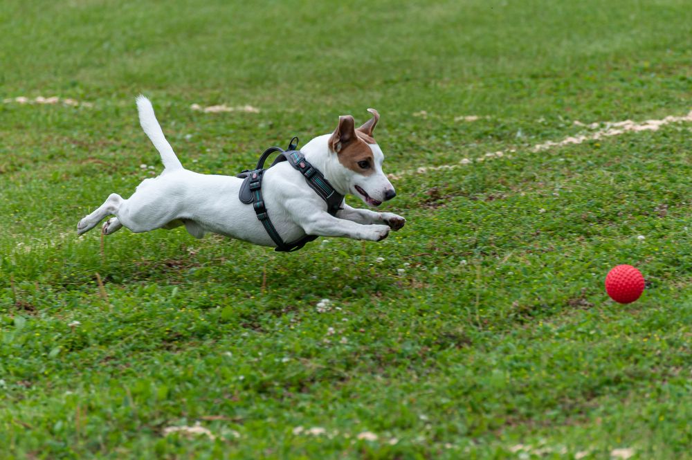 Photograph by Вадим Басов